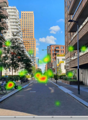Eye-Tracking the City: Matching the Design of Streetscapes in High-Rise Environments with Users’ Visual Experiences